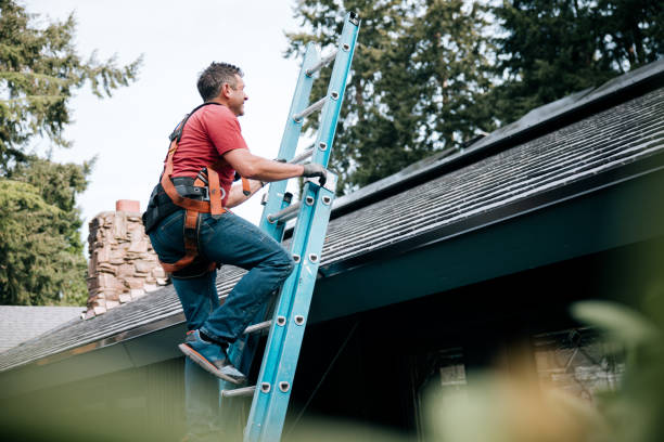 Best Roof Moss and Algae Removal  in Hamilton, MT